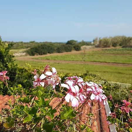 Villa Rosamarina Rosa Marina Luaran gambar