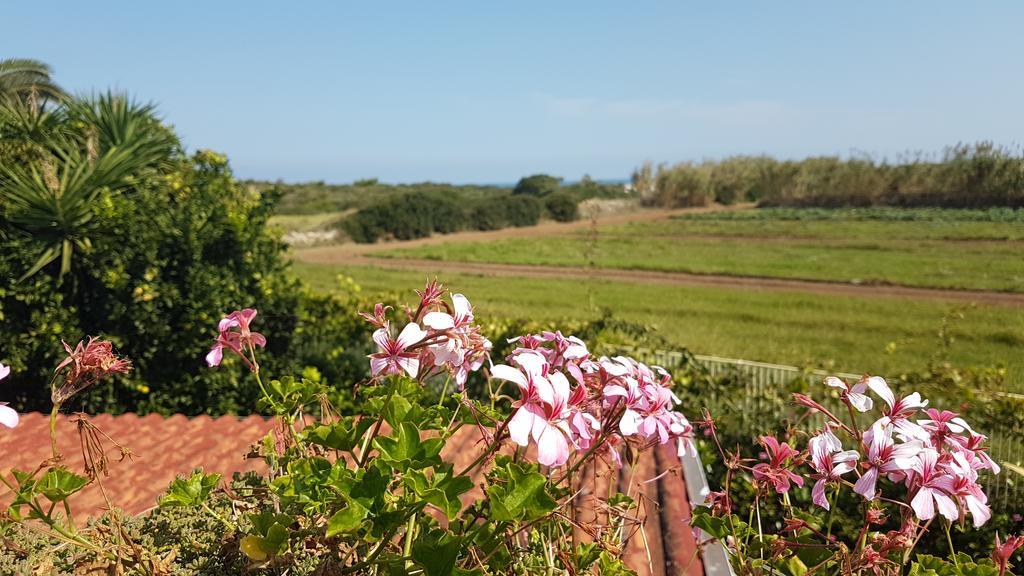 Villa Rosamarina Rosa Marina Luaran gambar